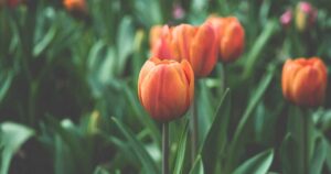 Read more about the article Smart Home AI: Making Your Life Easier and Safer